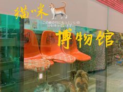 -猫咪博物馆(顶澳仔猫街店)