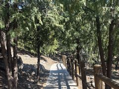 -白水寺森林公园