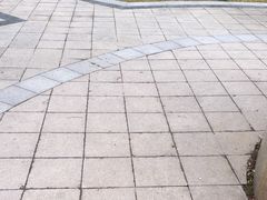 -牛肉块扯面(新华街总店)