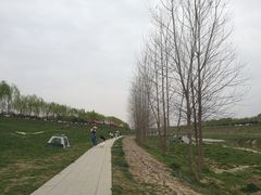 -洨河生态公园