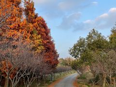 -上海海湾国家森林公园