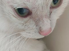 -美联众合动物医院·24h京西诊疗中心