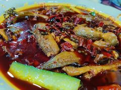 麻辣泥鳅-蜀膳坊(洪公祠小区店)
