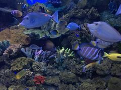 -常州海昌海洋探索馆