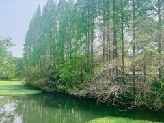 -扬州瘦西湖汇金酒店