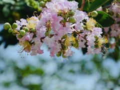 -乌石村