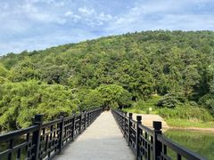 -九龙潭景区