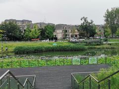 -两河城市森林公园