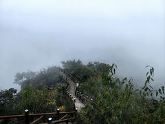 -大岭沟猕猴桃谷风景区
