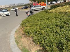 -苏州湾体育公园