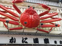 -蟹道乐(道顿堀本店)