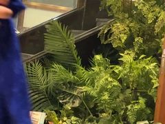 -江小渔鲜鱼火锅(西二道街店)