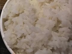 米饭-脆皮烧鸡公