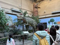 -国家自然博物馆