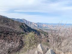-阳台山自然风景区
