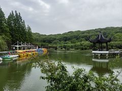 -苏州上方山国家森林公园
