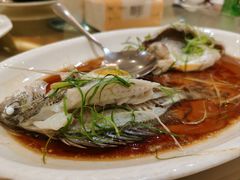 -益利大酒楼(井岸店)