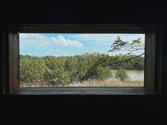 -华侨城湿地公园