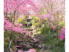 -普洱太阳河森林公园