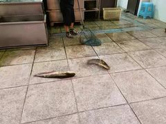-江龙饭店·乌江豆腐鱼(乌江老桥头店)