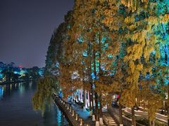 -运河游船(武林门码头)