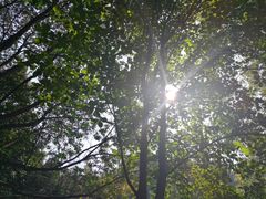 -韶山毛泽东同志故居