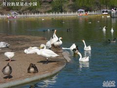 -太原动物园