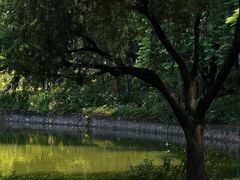 -晓港公园