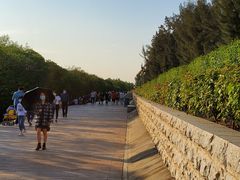 -宝安西湾红树林湿地公园