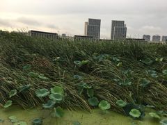 -尚贤河湿地