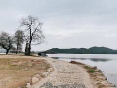 -东湖落雁景区