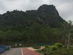 -南宁花花大世界景区