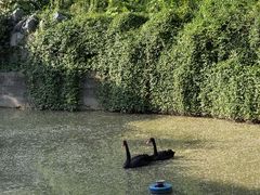 -上海虹桥迎宾馆