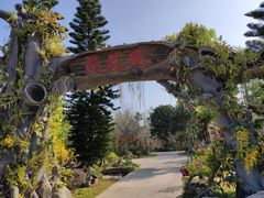 -东莞植物园