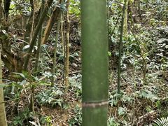 -水濂山森林公园