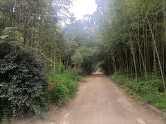 -日照海滨国家森林公园