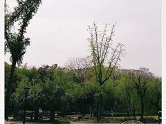 -苏州河梦清园环保主题公园