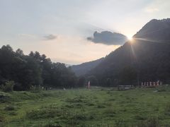 -狮子沟牧场