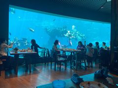 -海棠湾洲际-涛·海底餐厅·美人鱼·自助餐·海底隧道