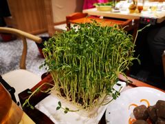 活体豆苗-廣順興(兴华路店)