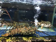 -厨房好味(国贸店)