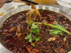 -老表牌·蛙蛙鸡冷锅鱼(成都东站店)