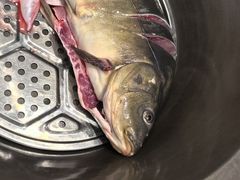 -山河屯铁锅炖·非遗铁锅炖(华强北店)