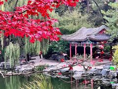 -香山公园