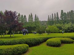 -棒棰岛宾馆景区