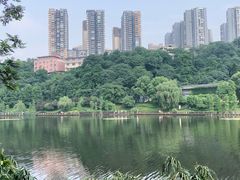 -重庆彩云湖湿地公园