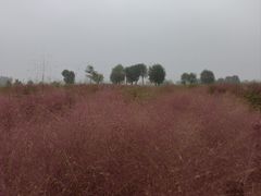 -汉长安城未央宫国家考古遗址公园