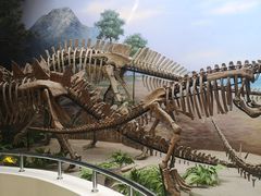 -延庆地质公园博物馆