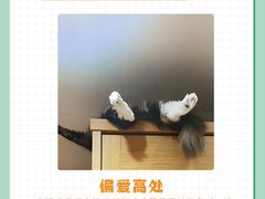 -申普宠物医院·眼科·心内科·影像科(普陀分院)