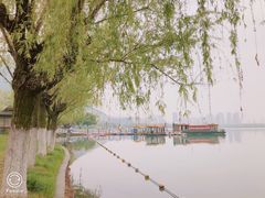 -天鹅湖体育公园